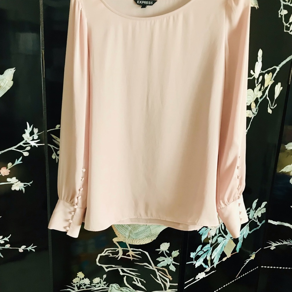 Blush Blouse